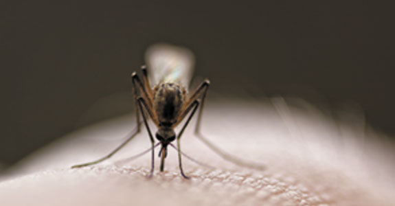 Anwendungsbild von I 2