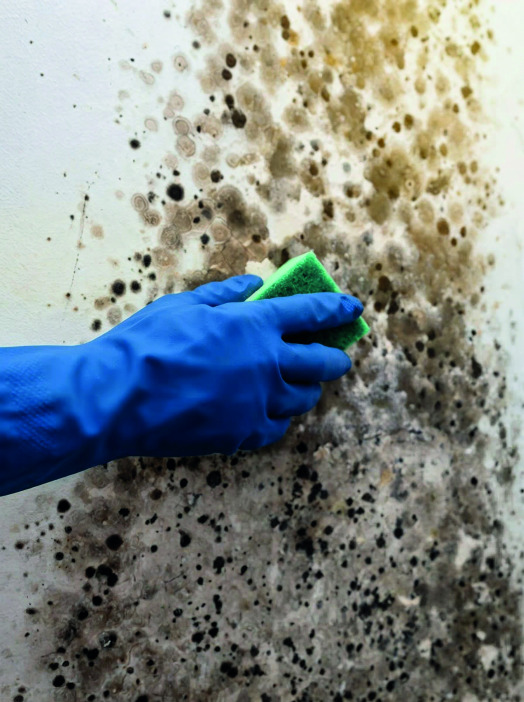 Anwendungsbild von FG Chlorfrei
