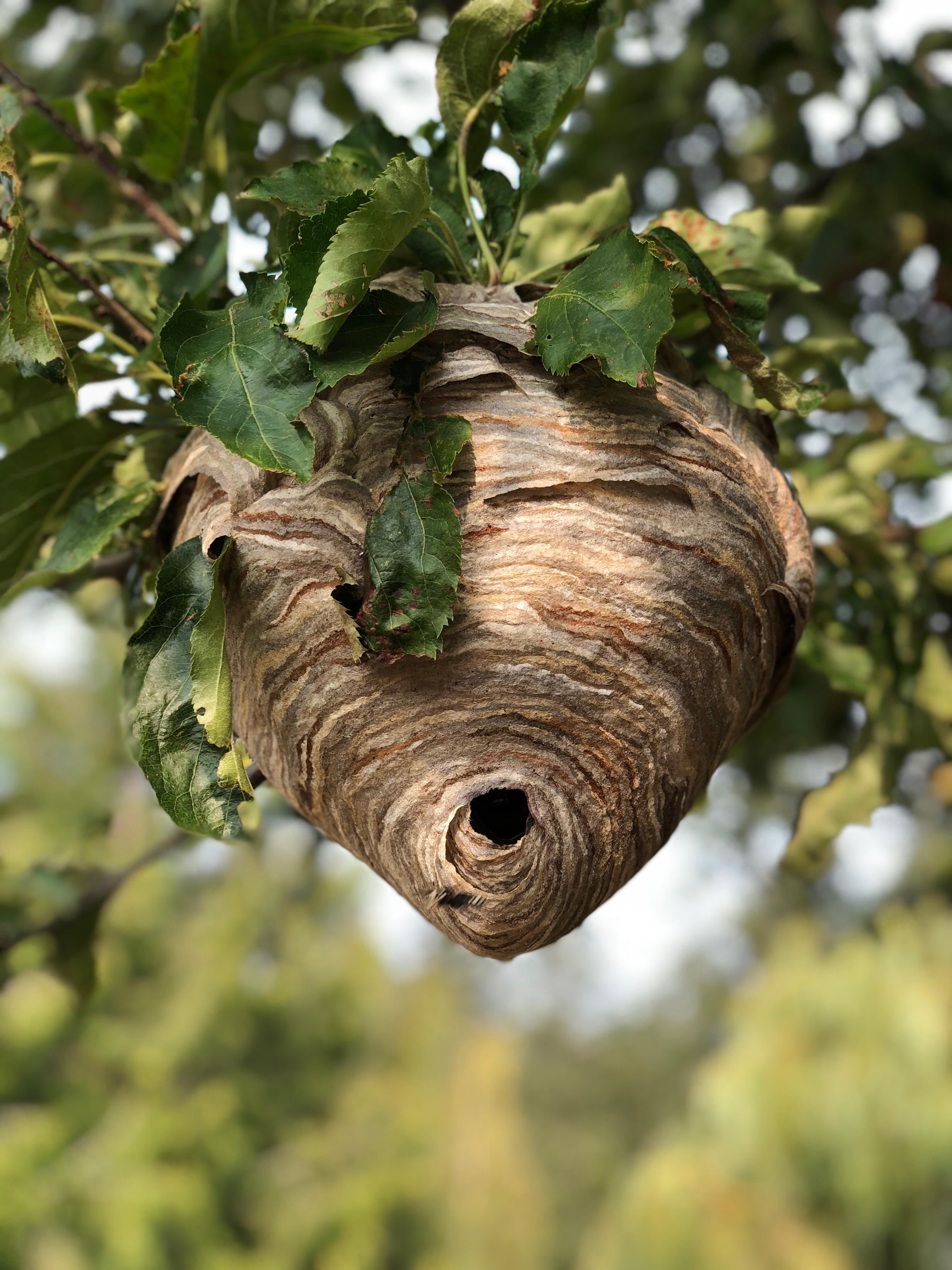 Anwendungsbild von AE - I1 Turbo